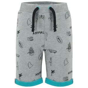 Animal Boys' Caspian Sweat Shorts