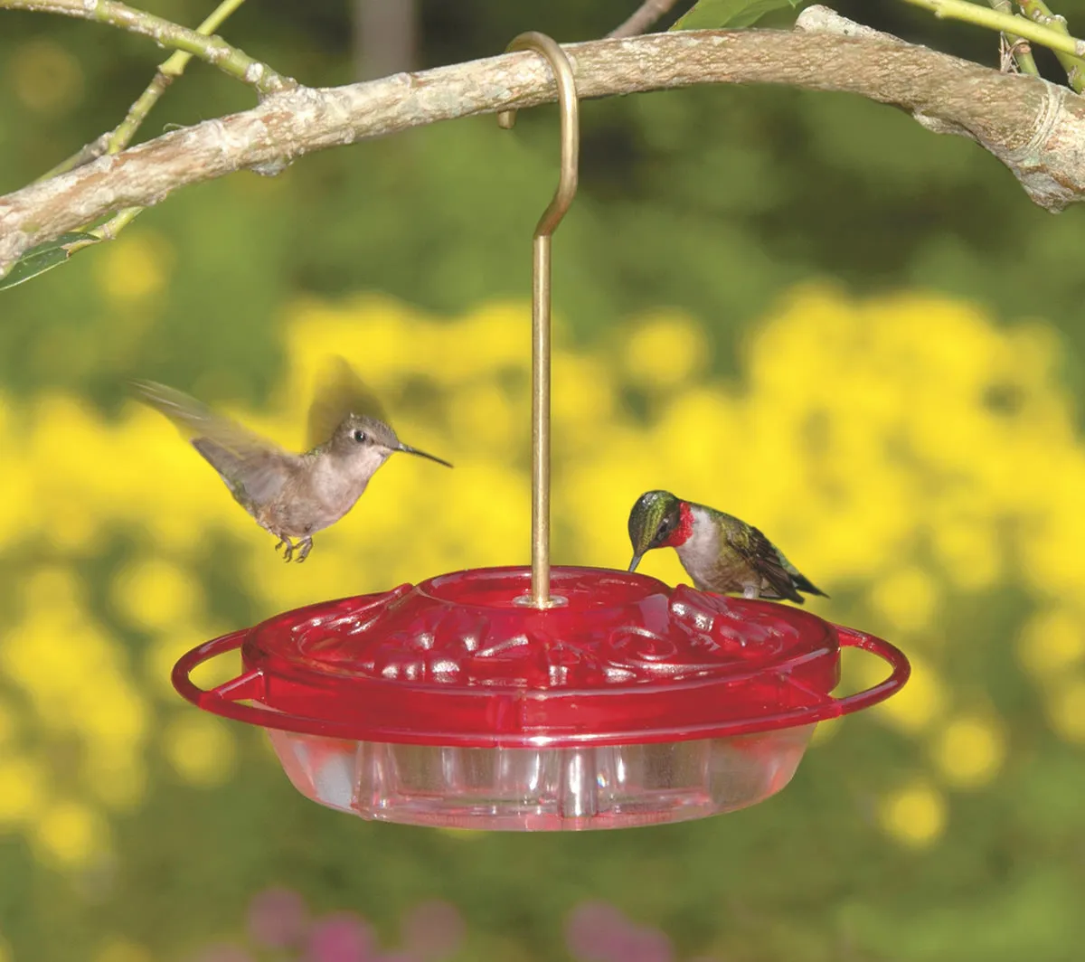 Aspects Little Fancy Hummingbird Feeder