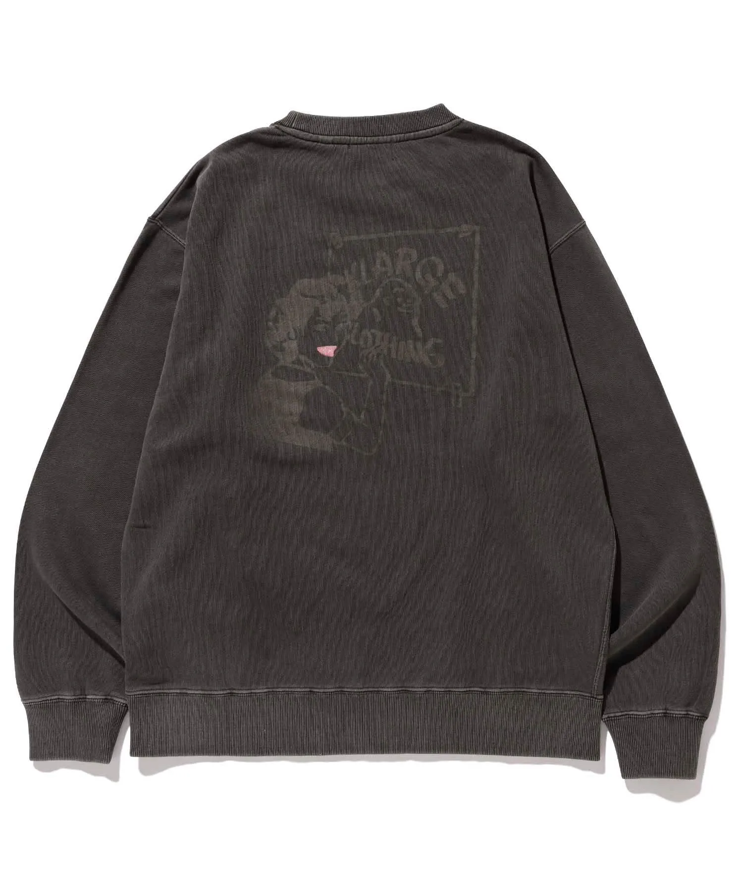 SMOOTH PAINTER PIGMENT CREWNECK SWEAT